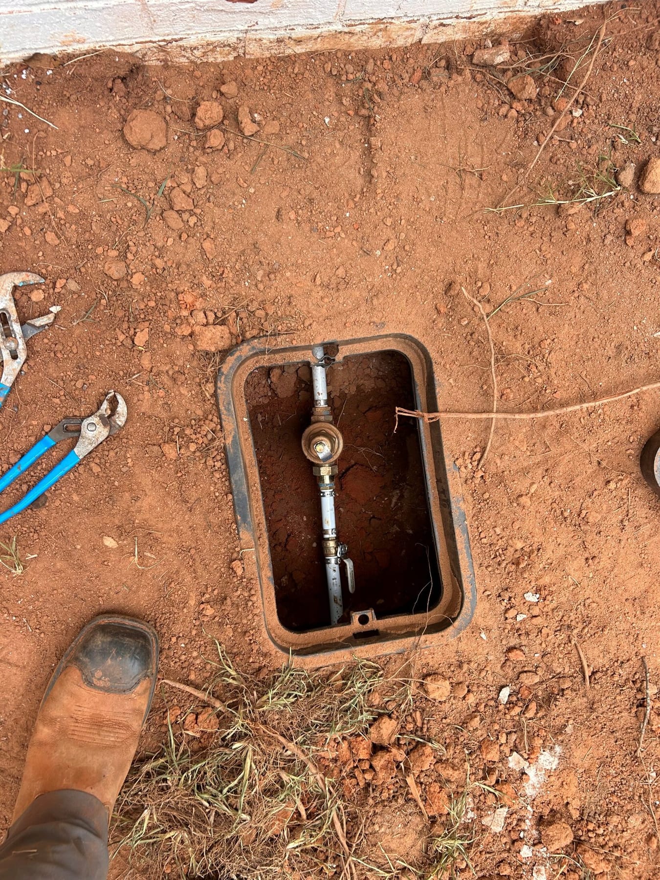An open septic distribution box with its outlets visible.